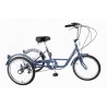 Triciclo Eléctrico Amat 24"