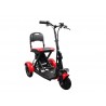 Scooter CicloTEK Freedom
