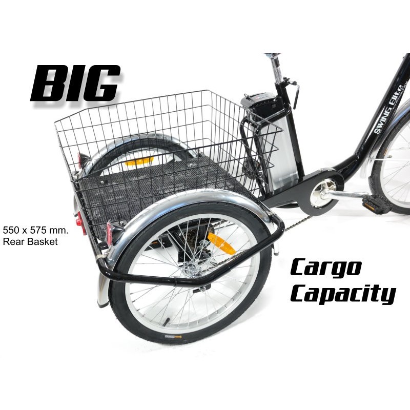 Triciclo eléctrico manned de nueva tilo de China 3 con tracción delantera 24inch bicicleta de carga familiar para adultos con neumáticos anchos 750W 2 persona E trike - China La carga eléctrica Triciclo eléctrico manned de nueva tilo de China 3 con tracción delantera 24inch bicicleta de carga familiar para adultos con neumáticos anchos 750W 2 persona E trike - China La carga eléctrica