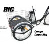 Triciclo Eléctrico CicloTEK Swing ELITE PLUS Negro