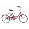 Triciclo convencional Amat 20"