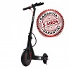 Patinete eléctrico Zwheel ZFox E9 Basic Anti-pinchazo