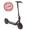Patinete eléctrico Zwheel ZFox Plus