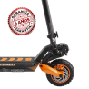 Patinete eléctrico Zwheel ZCougar Duo